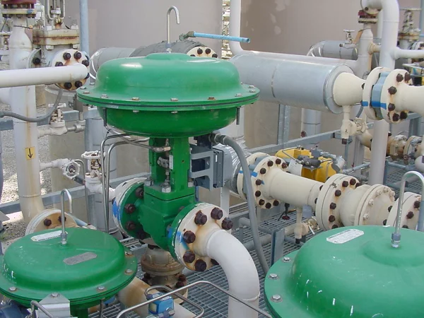 Fisher™ Globe Control Valves