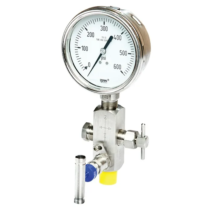 Morris Gauge & Block-and-Bleed Valves
