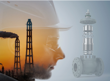 Industrial Valve Solutions by ACD America Corp.